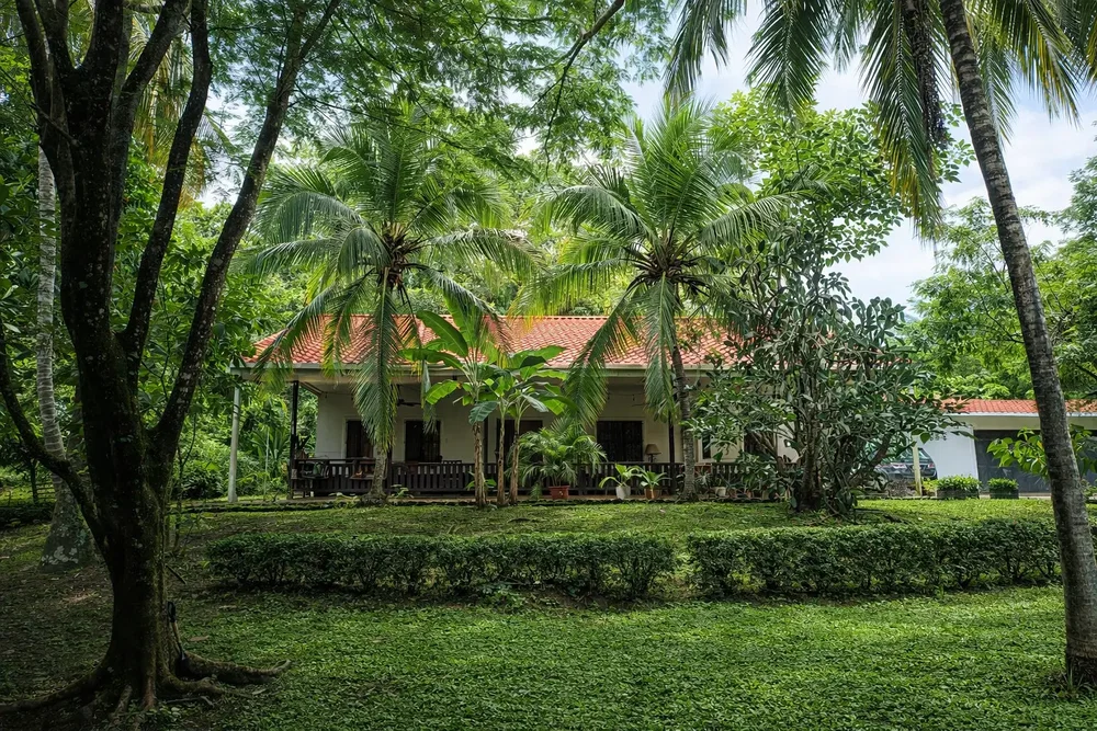 Кућа и околина; поглед, природно светло