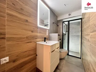 Kupaonica; renoviran, prirodno svjetlo, moderni stil