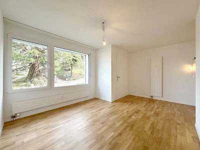 Salon; vue, parquet, lumière naturelle