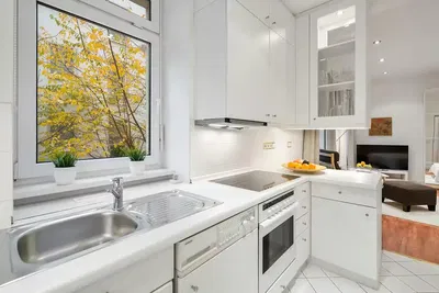 Kitchen; kitchen appliances, view, natural light, modern style, renovated