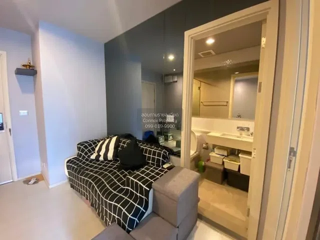 Obývací pokoj; přirozené světlo