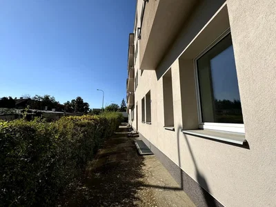 House and surroundings; view