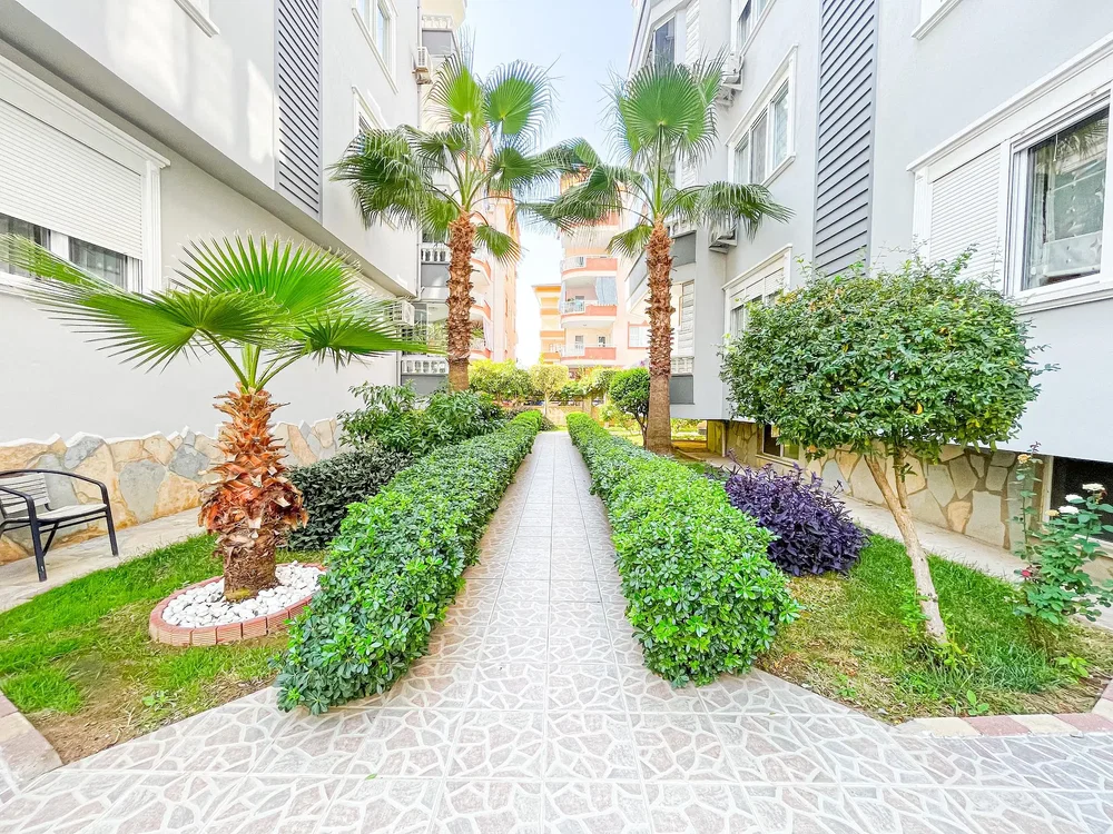 House and surroundings; view, natural light