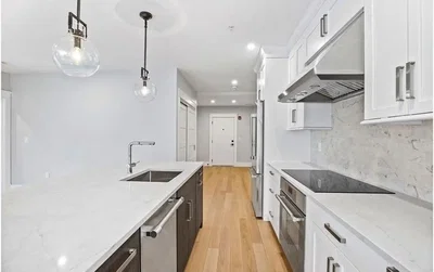 Kuchyně; kuchyňské spotřebiče, přirozené světlo, moderní styl, po rekonstrukci