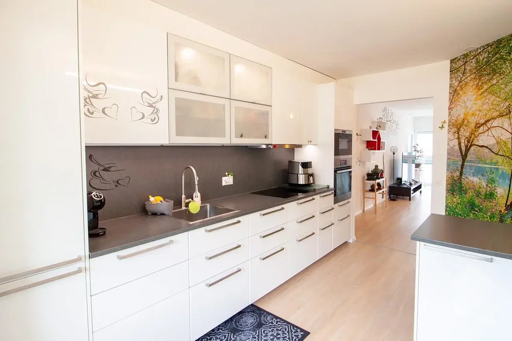 Cuisine; électroménager, lumière naturelle, style moderne