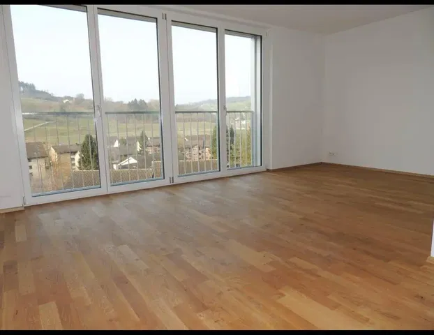 Living room; view, wood floor, natural light