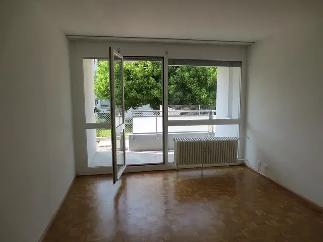 Living room; view, wood floor, natural light