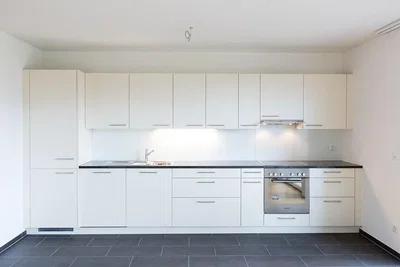 Cucina; elettrodomestici, pavimento in piastrelle, ristrutturato, luce naturale, stile moderno