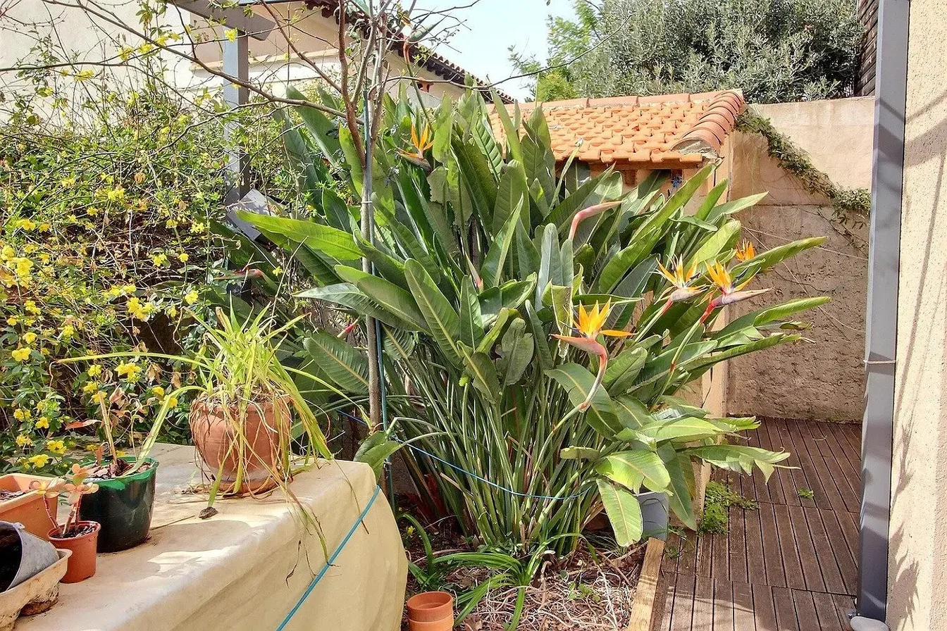 Teras; doğal ışık, manzara