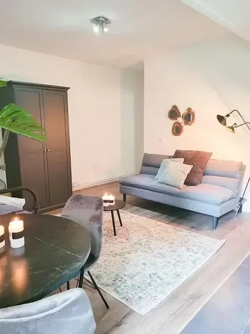 Хол; естествена светлина, модерен стил