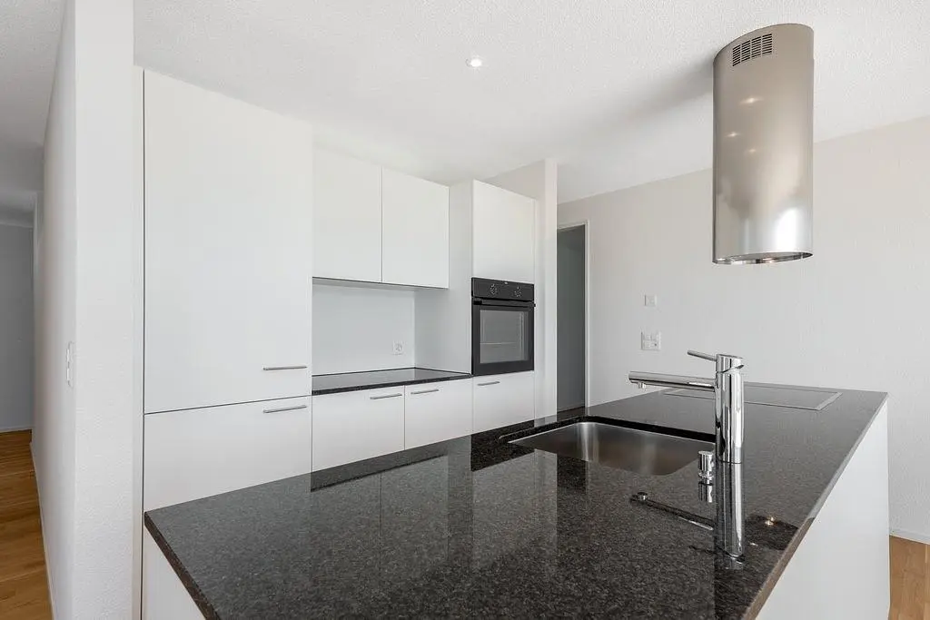 Cucina; elettrodomestici, stile moderno, ristrutturato, luce naturale