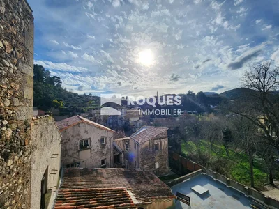 House and surroundings; view