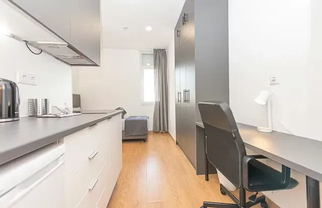 Kuchyně; kuchyňské spotřebiče, dřevěná podlaha, přirozené světlo, moderní styl