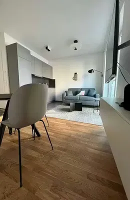 Living room; wood floor, natural light, modern style