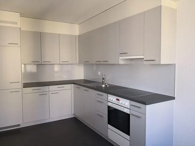 Cozinha; eletrodomésticos, renovado, luz natural, estilo moderno