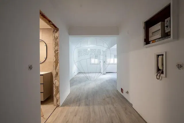 Other; wood floor, natural light