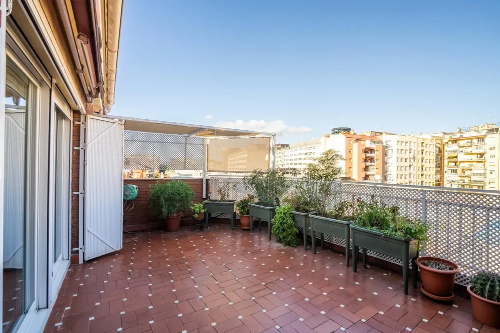 Teras; manzara, doğal ışık