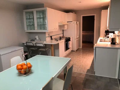 Kuhinja; kućanski aparati, pločice, prirodna svjetlost, moderan stil