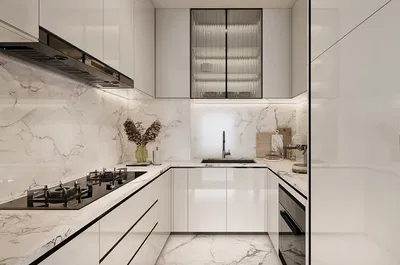 Kuhinja; kućanski aparati, renoviran, moderan stil