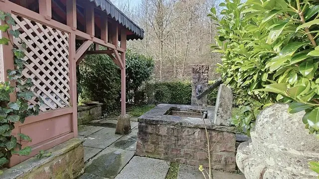 Haus und umgebung; tageslicht