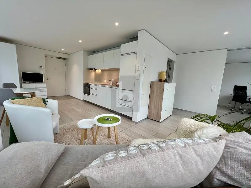 Wohnzimmer; tageslicht, moderner stil, holzboden
