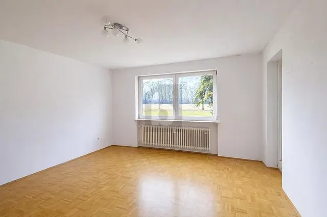 Wohnzimmer; blick, holzboden, tageslicht