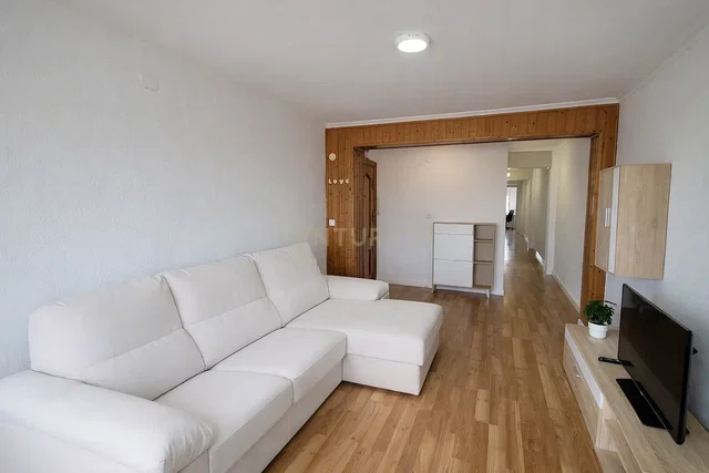 Living room; wood floor, natural light