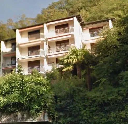 House and surroundings; view