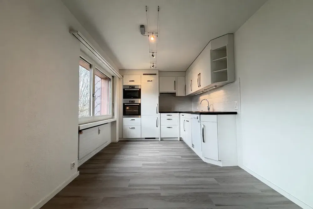 Küche; küchengeräte, tageslicht, moderner stil