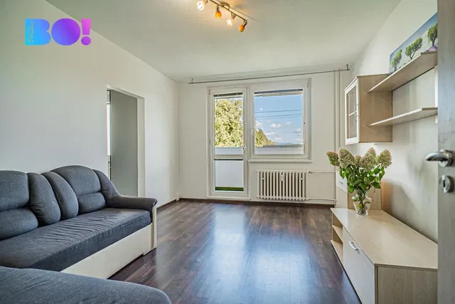 Living room; view, wood floor, natural light
