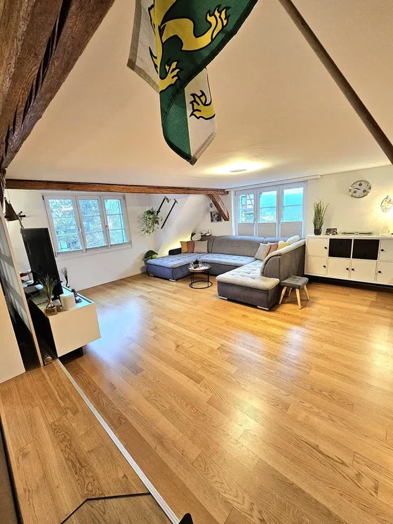 Wohnzimmer; holzboden, tageslicht, moderner stil