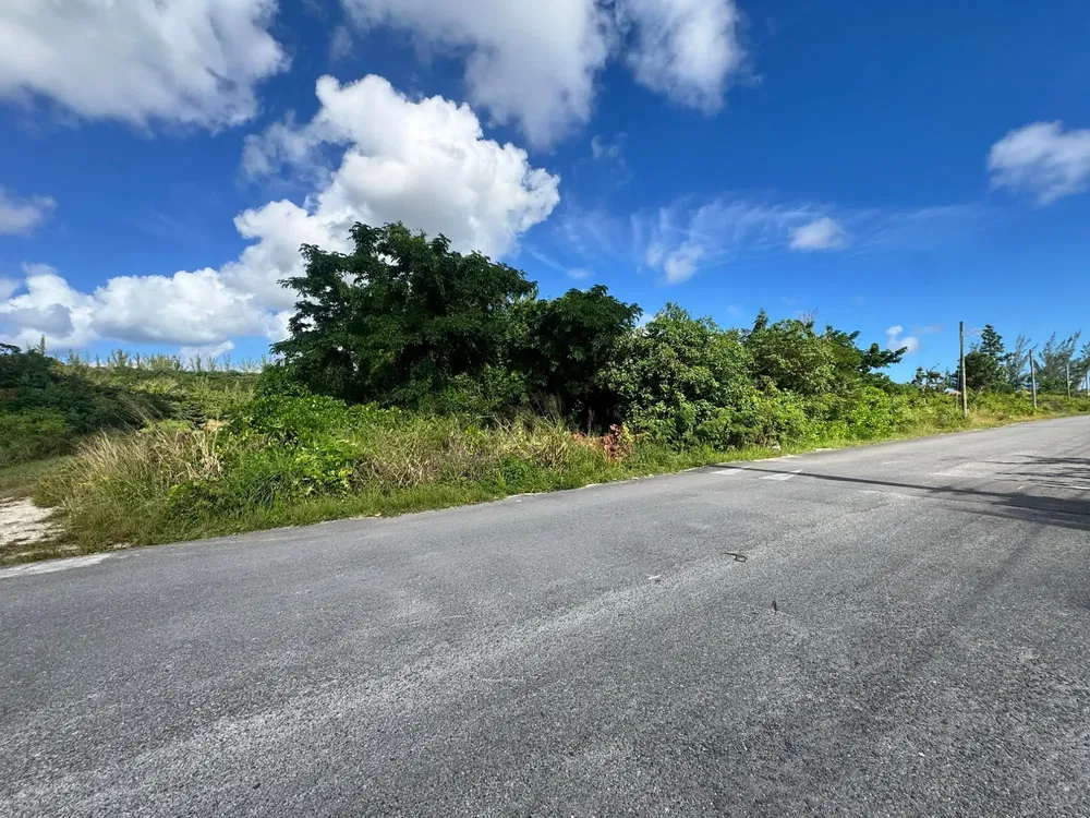 Maison et environs; vue, lumière naturelle
