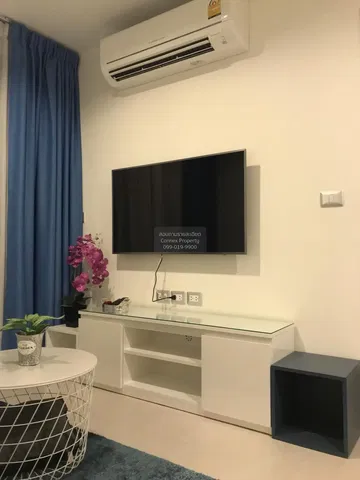 Living room; natural light