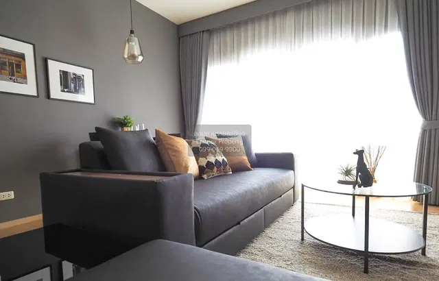 Living room; natural light, modern style