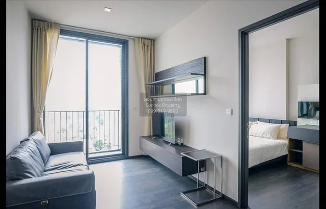 Living room; view, natural light