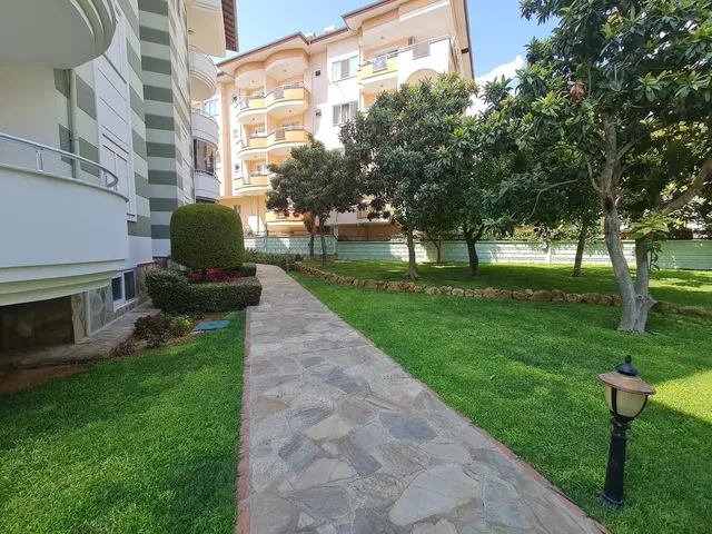 المنزل والمناطق المحيطة; ضوء طبيعي