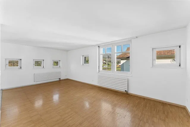 Living room; wood floor, natural light, view