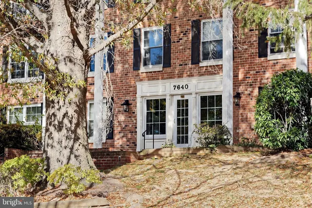 House and surroundings; natural light