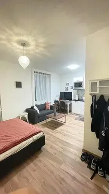 Wohnzimmer; holzboden, tageslicht