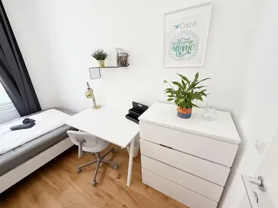 Bedroom; wood floor, natural light, modern style