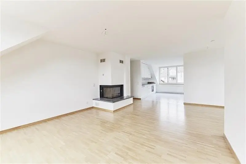 Wohnzimmer; kamin, holzboden, tageslicht