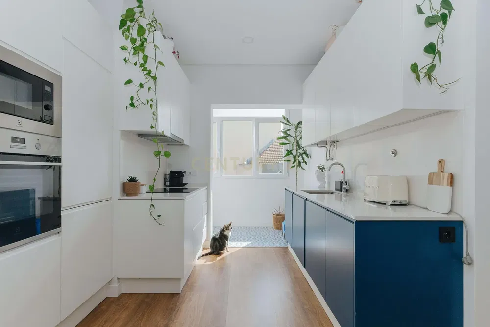 Kuchyně; kuchyňské spotřebiče, přirozené světlo, moderní styl