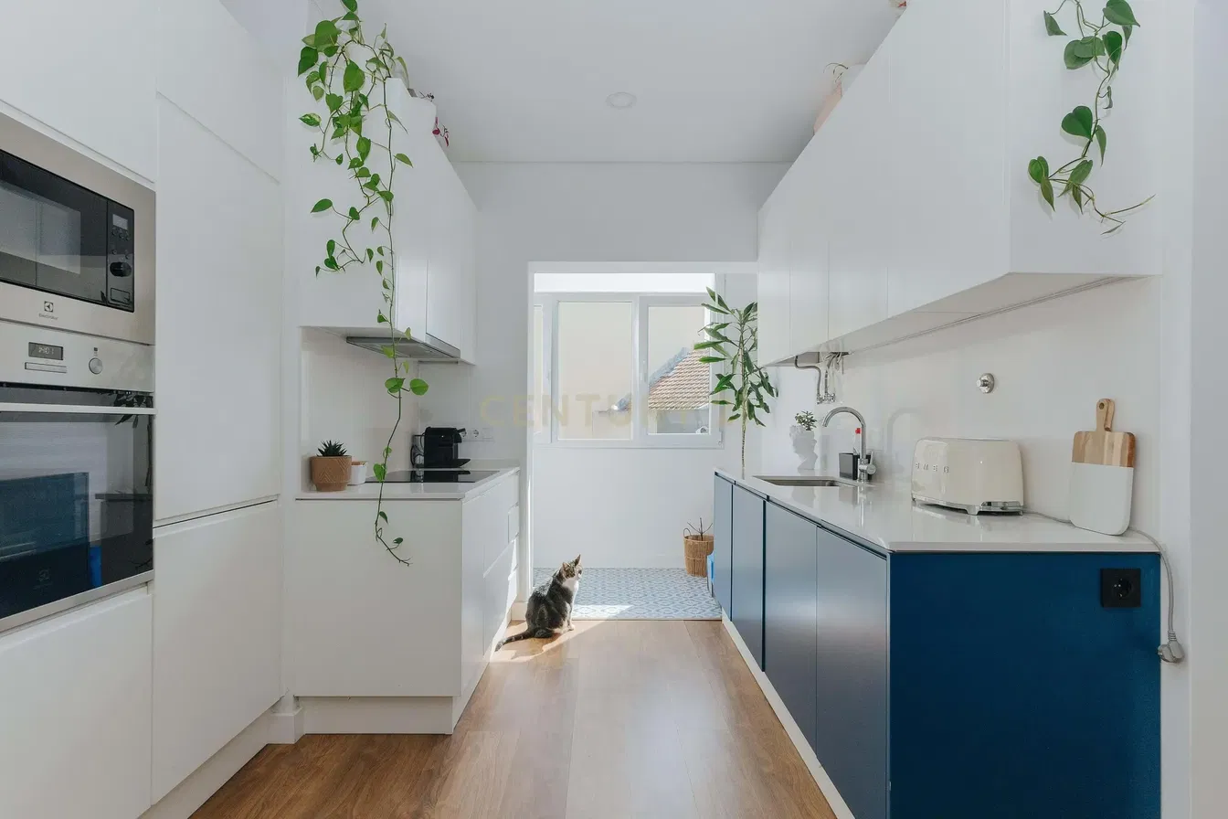 Kuchyně; kuchyňské spotřebiče, přirozené světlo, moderní styl