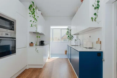 Kuchyně; kuchyňské spotřebiče, přirozené světlo, moderní styl