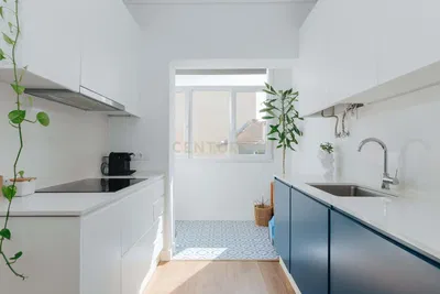 Kuchyně; kuchyňské spotřebiče, přirozené světlo, moderní styl