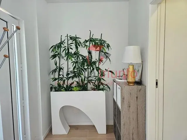 Autre; lumière naturelle