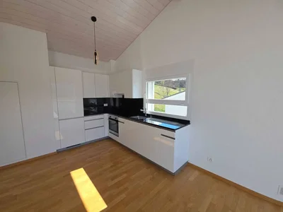 Küche; küchengeräte, blick, tageslicht, moderner stil, renoviert