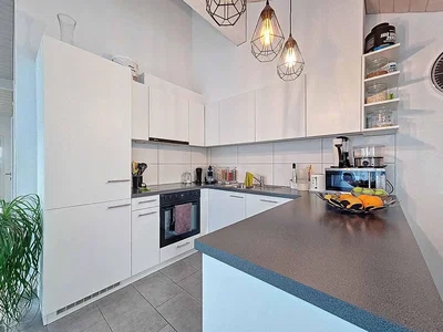 Cuisine; électroménager, lumière naturelle, style moderne, rénové