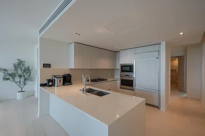 Cuisine; électroménager, lumière naturelle, style moderne, rénové