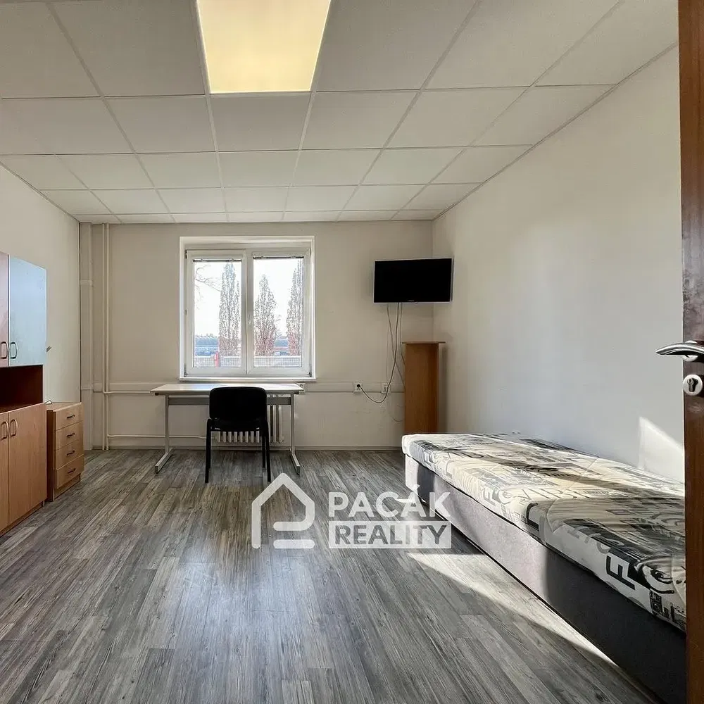Bedroom; natural light, wood floor